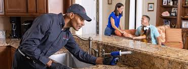 Reliable Garrettsville, OH Pest Control Solutions